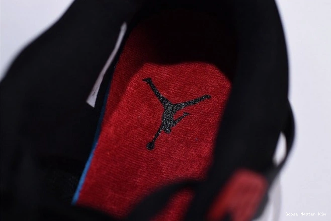 NRG AQ3816-065 Retro 4 Jordan Air Raptors